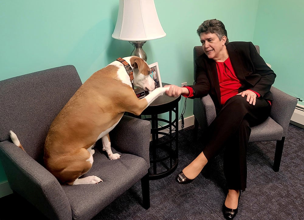 Mason the Dog shaking hands with attorney Angela Murphy